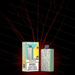 JNR - Mega Box 25K bouffées - 2% de Nicotine - Puff Jetable / Vape Disposable