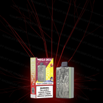 JNR - Mega Box 25K bouffées - 2% de Nicotine - Puff Jetable / Vape Disposable