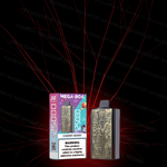 JNR - Mega Box 25K bouffées - 2% de Nicotine - Puff Jetable / Vape Disposable
