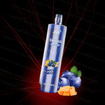 puff JNR Shisha Hookah 12k (boite de 10)