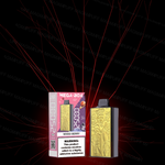JNR - Mega Box 25K bouffées - 2% de Nicotine - Puff Jetable / Vape Disposable