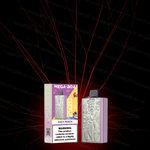 JNR - Mega Box 25K bouffées - 2% de Nicotine - Puff Jetable / Vape Disposable