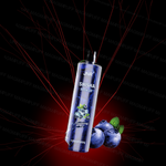 Puff JNR Shisha 12000